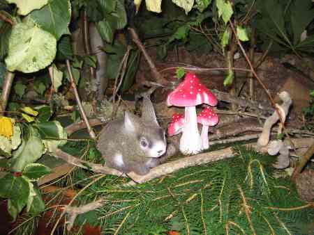 Flower Festival - Rabbit and toadstool